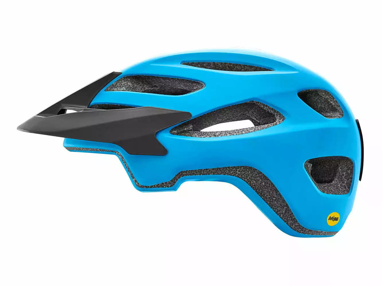 Giant Roost MIPS Helm Blau Matt